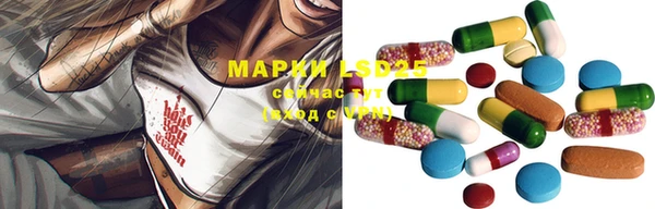 ПСИЛОЦИБИНОВЫЕ ГРИБЫ Сосновый Бор