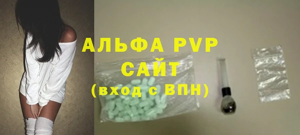 ПСИЛОЦИБИНОВЫЕ ГРИБЫ Сосновый Бор