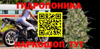 мяу мяу мука Братск