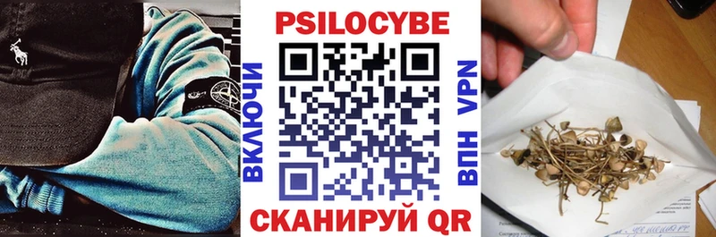 блэк спрут зеркало  Джанкой  Псилоцибиновые грибы прущие грибы 