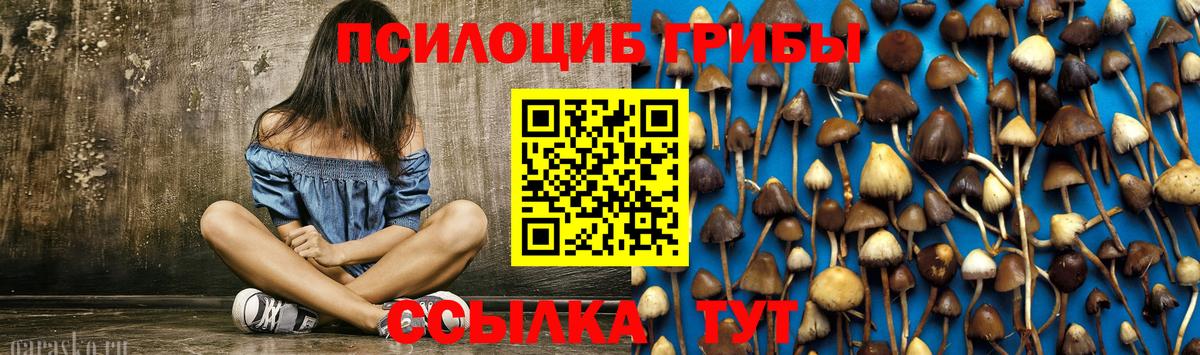 Джанкой  Псилоцибиновые грибы Magic Shrooms  Вход с VPN 
