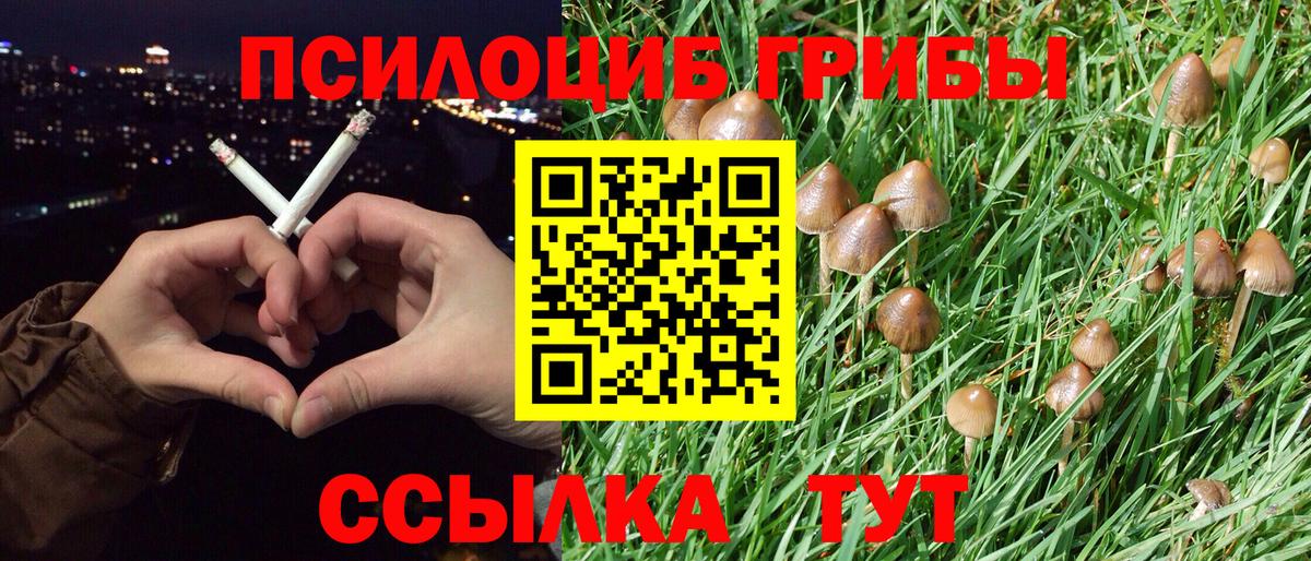 Галлюциногенные грибы Cubensis Джанкой