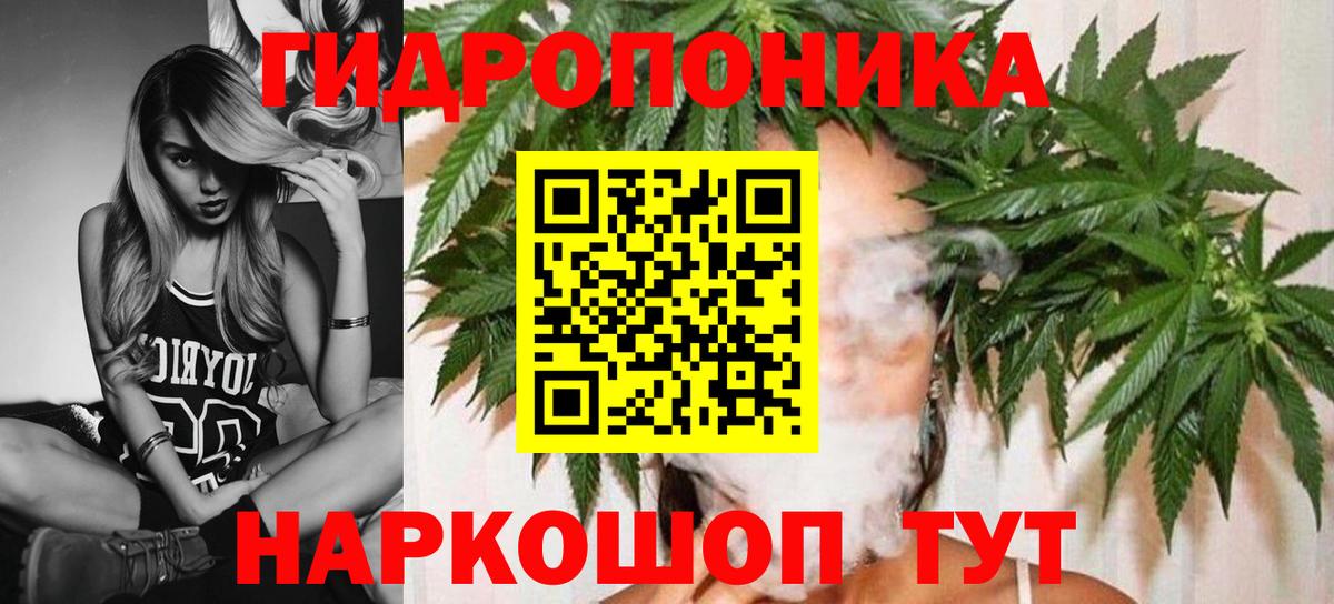 Марихуана конопля  Канабис семена  Джанкой  Вход с VPN  Каннабис планчик  МАРИХУАНА OG Kush 